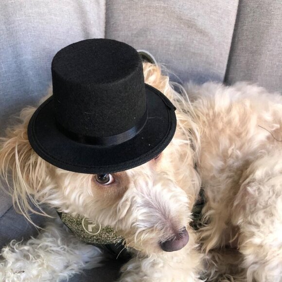Other - 🆕Rubies Top Hat Pet Hat for Dogs or Cats, S/M
